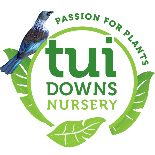 Tui Downs Nursery Logo