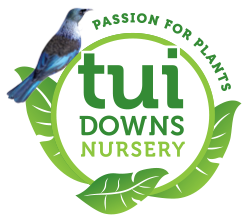 Tui Downs Nursery Logo